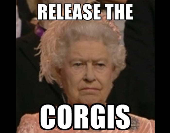 Her majesty the queen is not amused ... - 9GAG