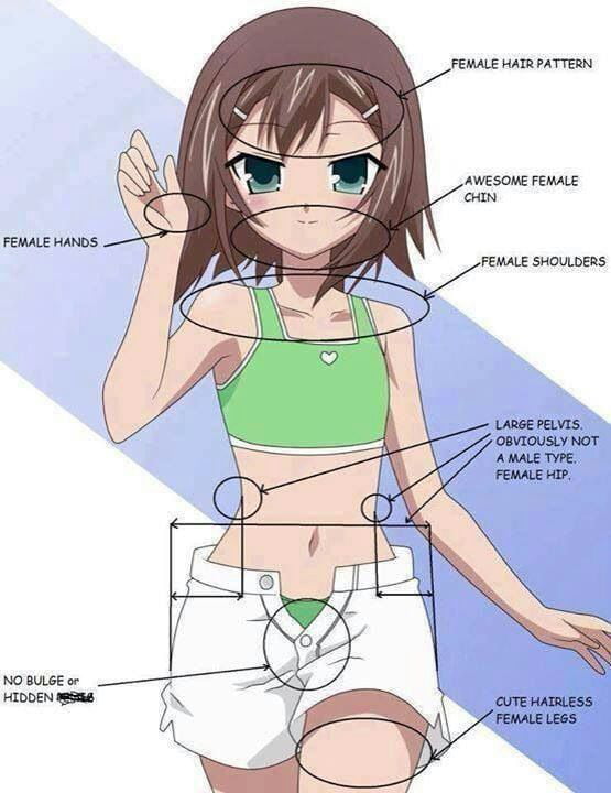 hot gay anime bulge