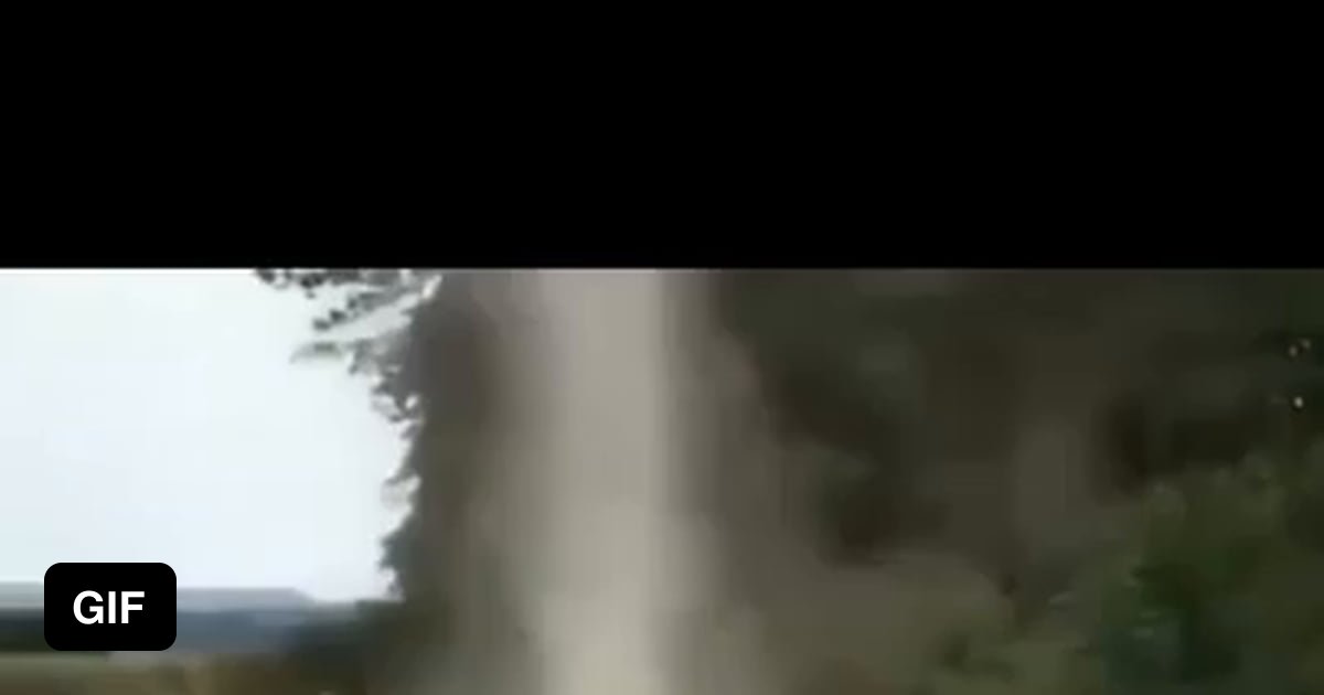 dog-stops-tornado-from-forming-one-news-page-video