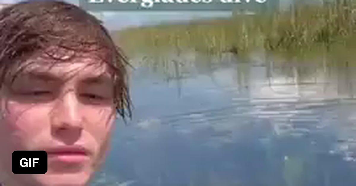A short dive in the everglades 9GAG
