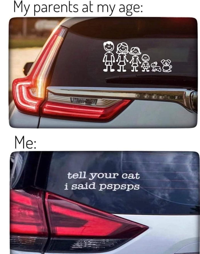 I Love Your Cat
