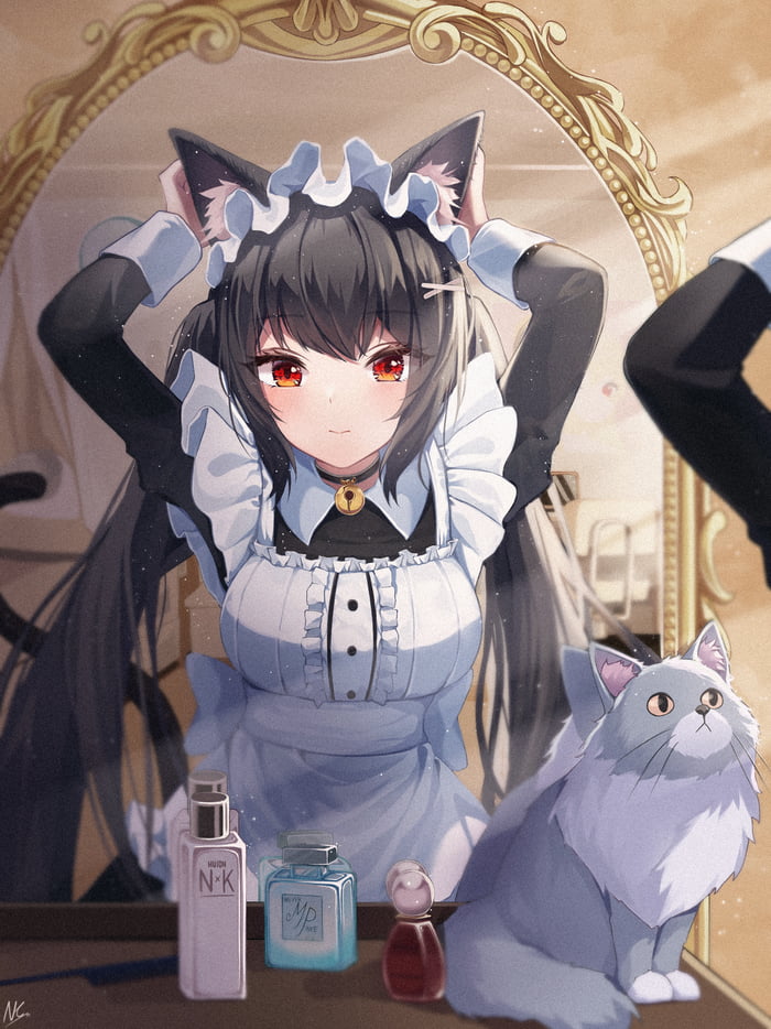 Cat maid dreesing up in front of mirror and a cat - 9GAG