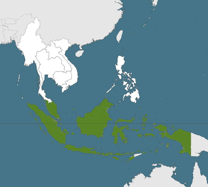 Malayosphere alliance. Security and economic alliance between a Malay