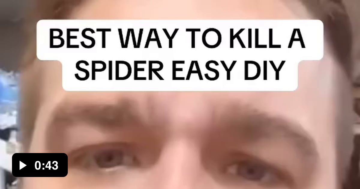 The most effective way to kill any insect - 9GAG