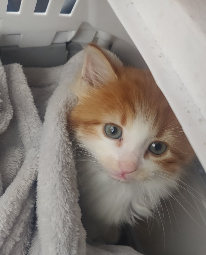 Cheebs on his way home for the first time exactly two years ago today ...