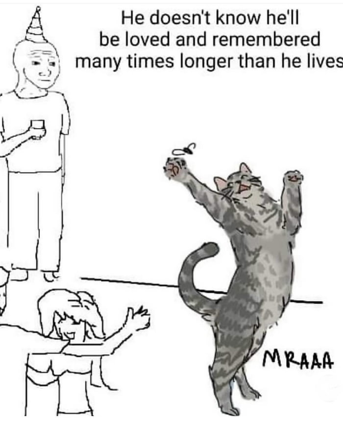 Happy International Cat Day - 9GAG