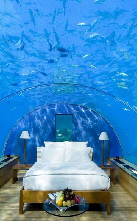 Underwater Hotel Room The Maldives 560x905 9gag