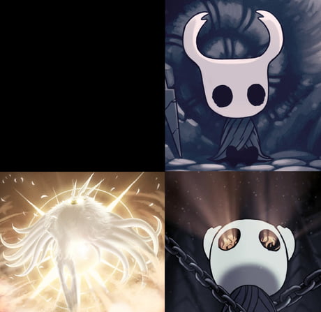 Funny Hollow Knight Memes