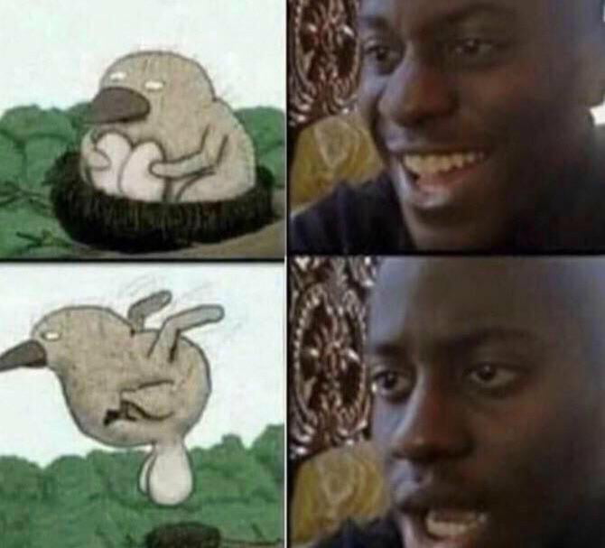 They ain’t eggs - 9GAG
