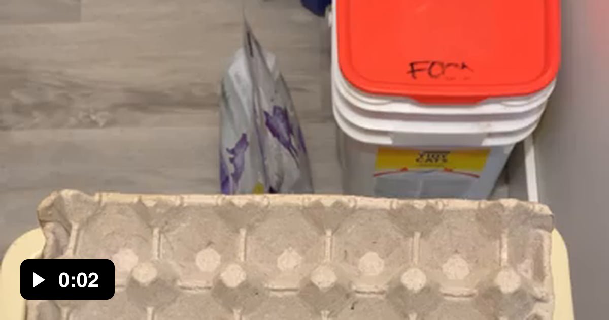 Perfect fit and oddly satisfying! Egg carton in recycle bin. 9GAG