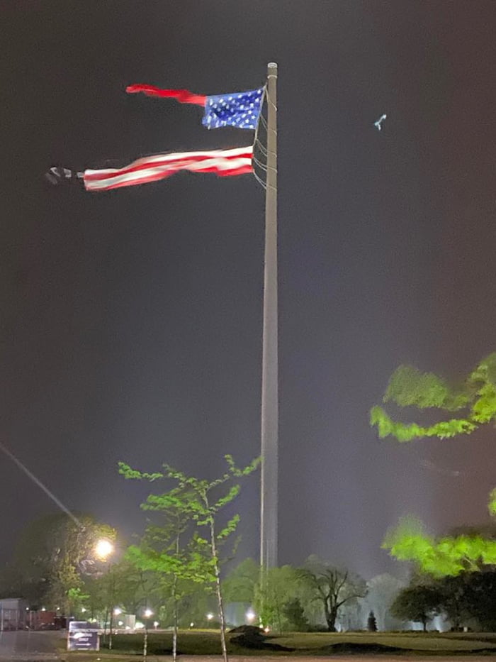 in-a-strikingly-poignant-metaphor-the-largest-free-flying-american