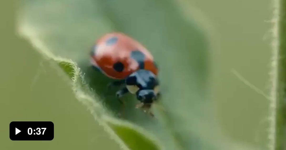 Runway introduced the "Erase and Replace" AI tool, with which you can