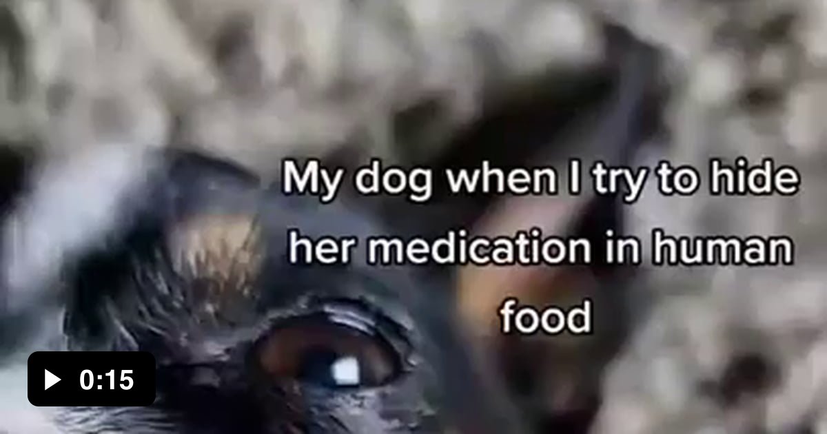 Hiding dog meds in human food 9GAG