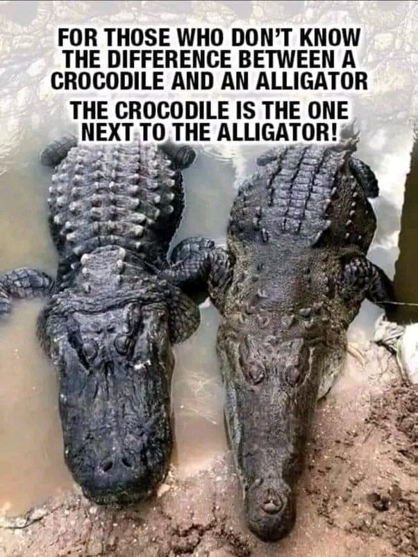 I hope it clarifies 9gag