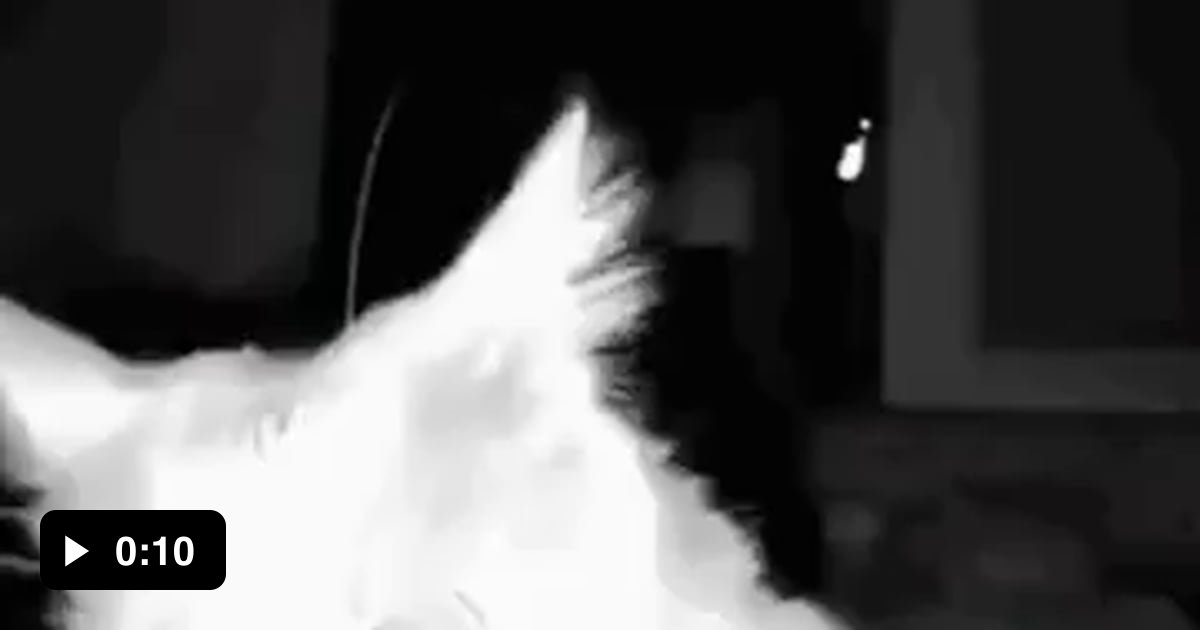 POV: you are the magic powder - 9GAG