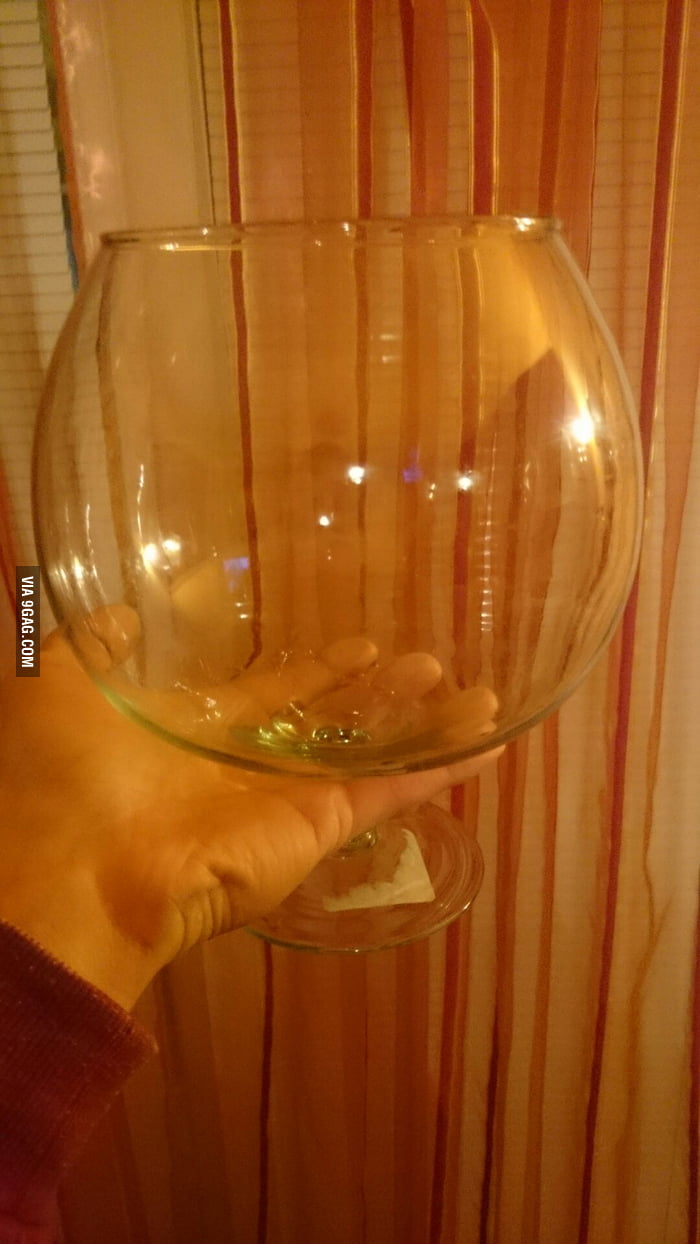 tonight-i-will-have-just-one-glass-of-wine-9gag