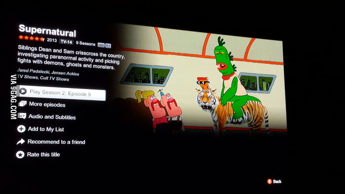 Netflix Had A Mix Up. The Description And Photo Are Perfect - 9GAG