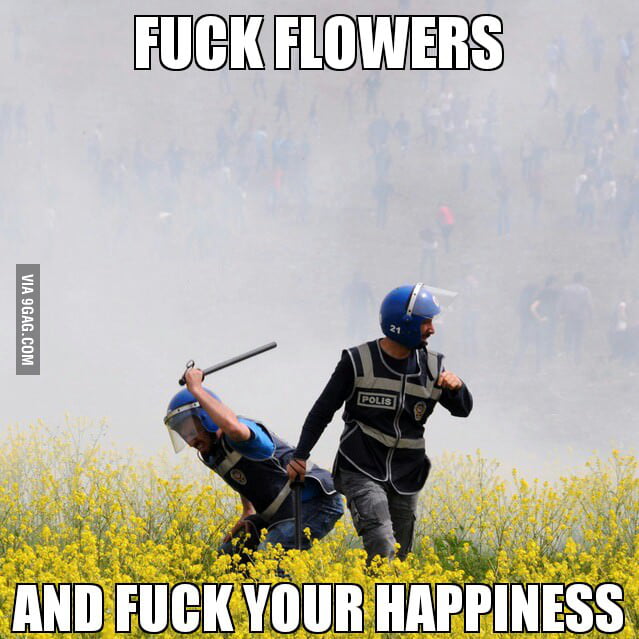 F**k everyting