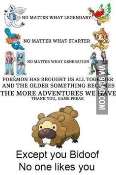 Everyone hates bidoof - 9GAG