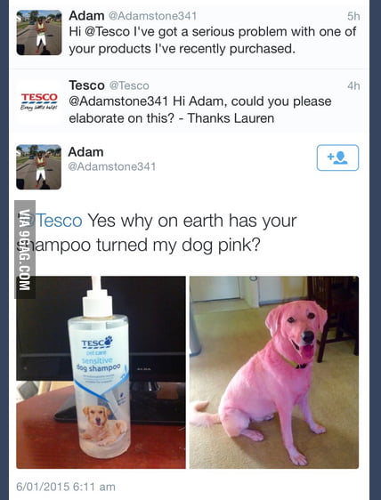 Dog hotsell shampoo tesco