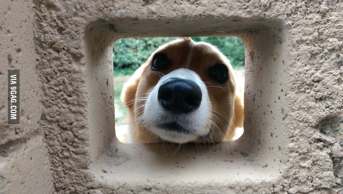 My Possessed Childhood Friend Wants To Come Inside Me