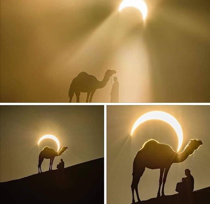 solar-eclipse-in-saudi-arabia-9gag