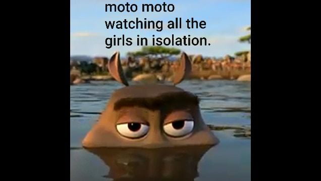 A Biography of Moto Moto - 9GAG