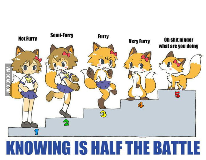 Furry Scale - 9GAG