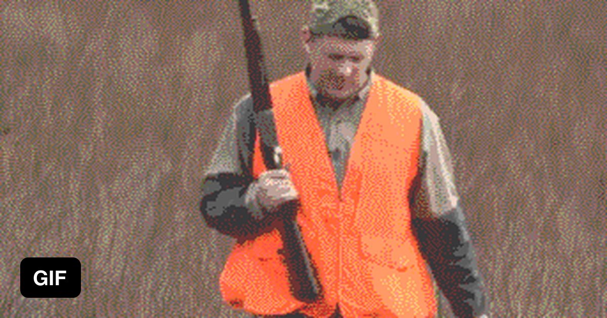 Man Catches Flying Bird With Bare Hand 9GAG