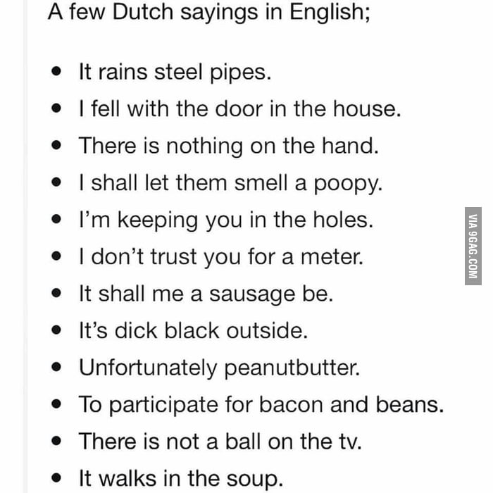 Dutch short sentences image