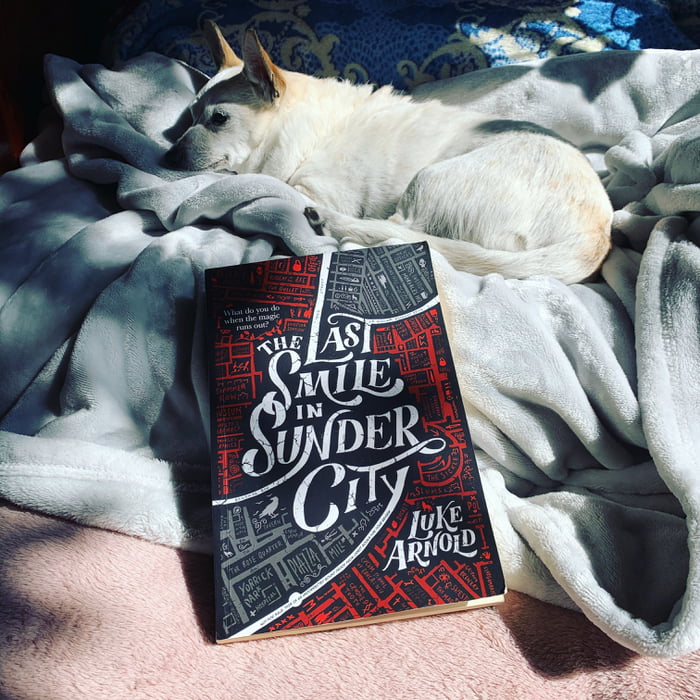 Not A Meme But My Friend Wrote An Epic Fantasy Book Doggo To Curry not-a-meme-but-my-friend-wrote-an-epic-fantasy-book-doggo-to-curry