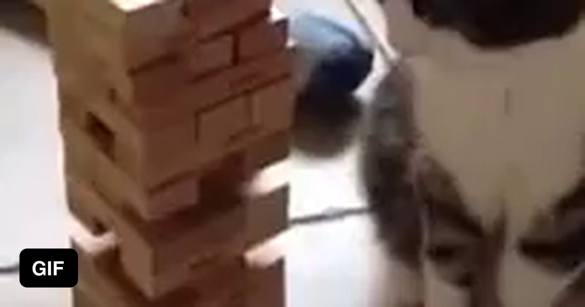 Cat playing Jenga. 9GAG
