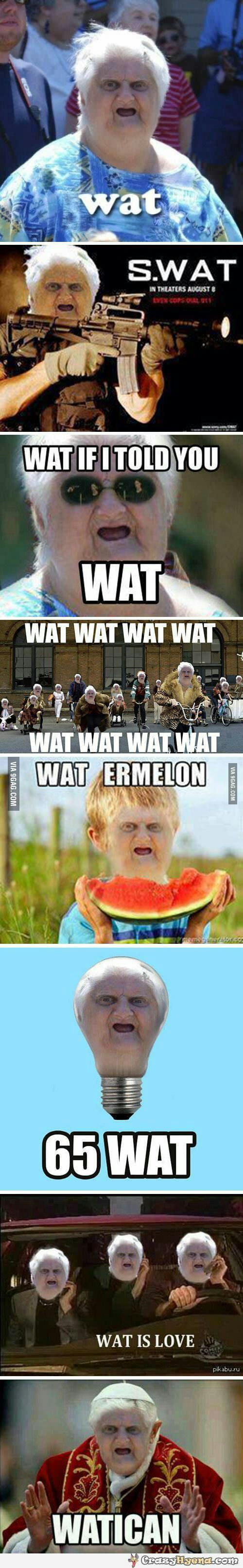 Wat ,Wat Wat - 9GAG