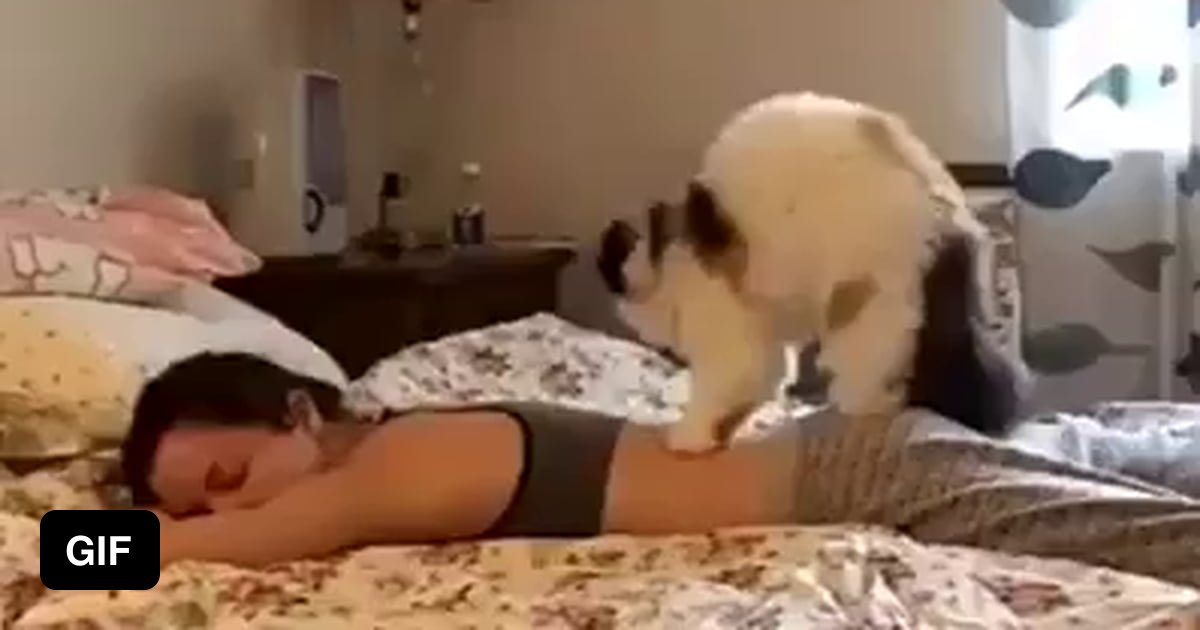 Ххх с котом