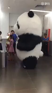 When you're a panda and work in an office building - 9GAG