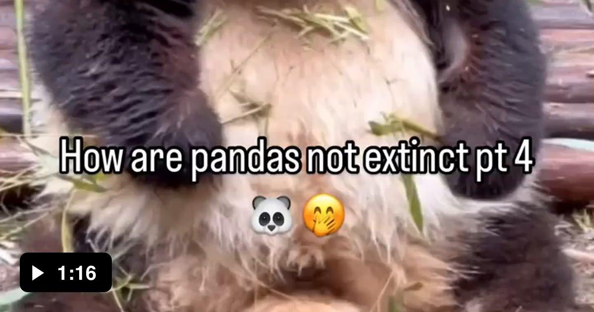 Why are Pandas not extinct yet? - 9GAG