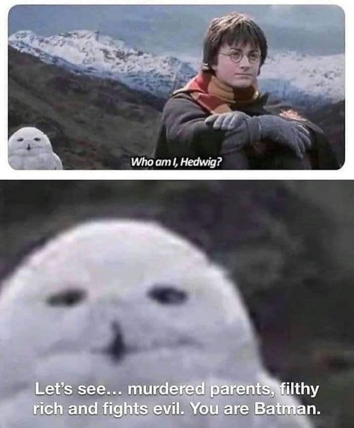 Oh harry - 9GAG