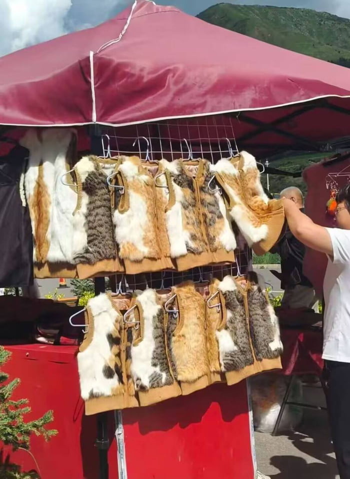 Chinese: cat4dinner? that's lacist!!! ---Also Chinese: - 9GAG