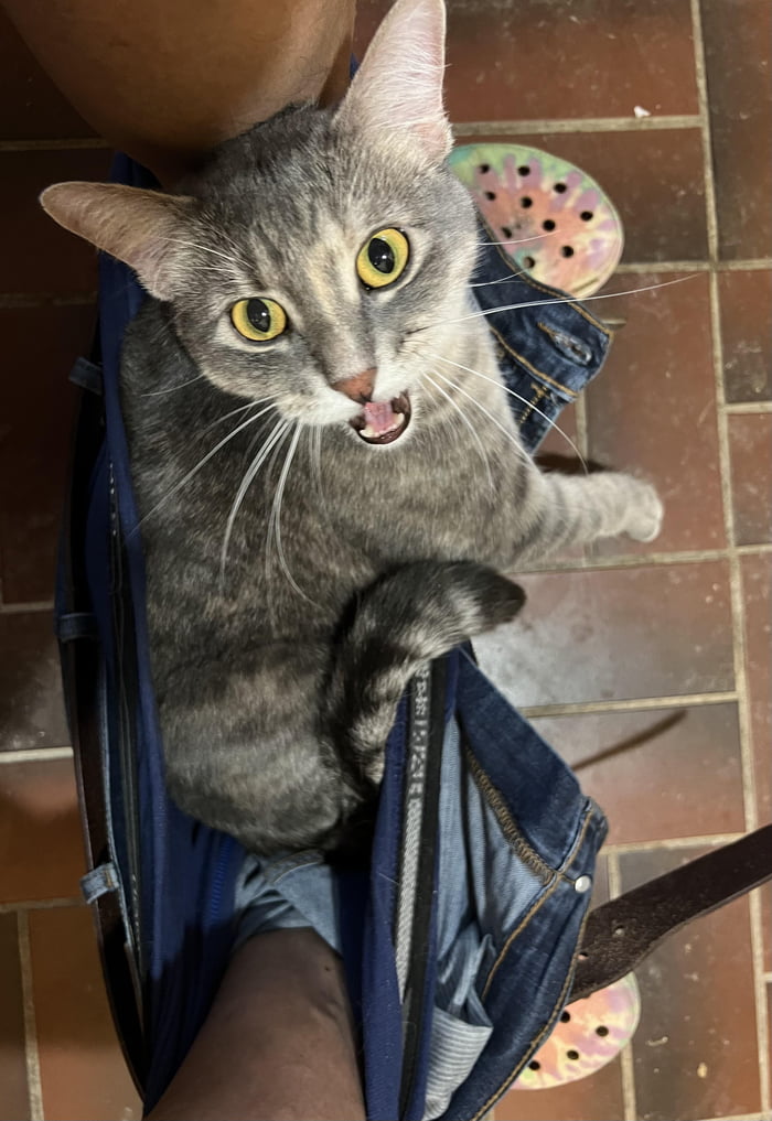 Bathroom attendant 9GAG