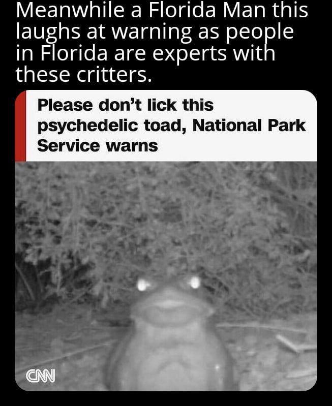 Bufo Cane Toad - 9GAG