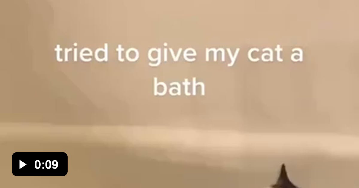 To give a cat a bath 9GAG
