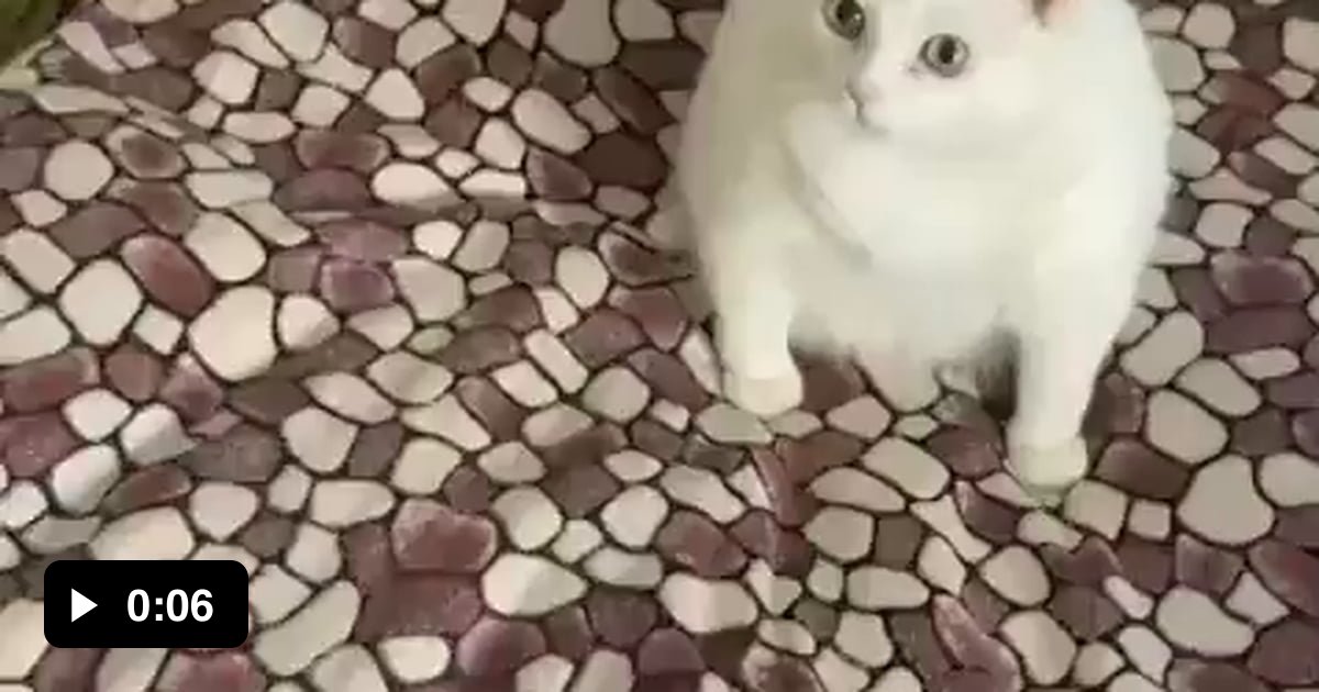 When you go down and it smells like fish,,, 9GAG