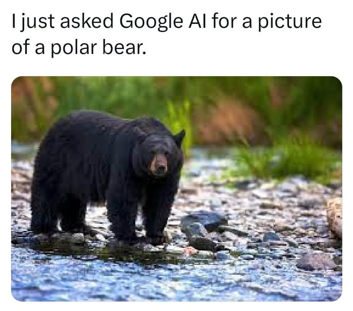 Google show me a picture of a polar bear 9gag