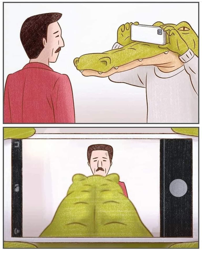 Gatorgrosscom Avoid These Mistakes Find Out Now - y9h8g1v