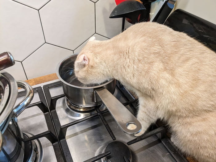 The chef checks the water for the amount of salt - 9GAG