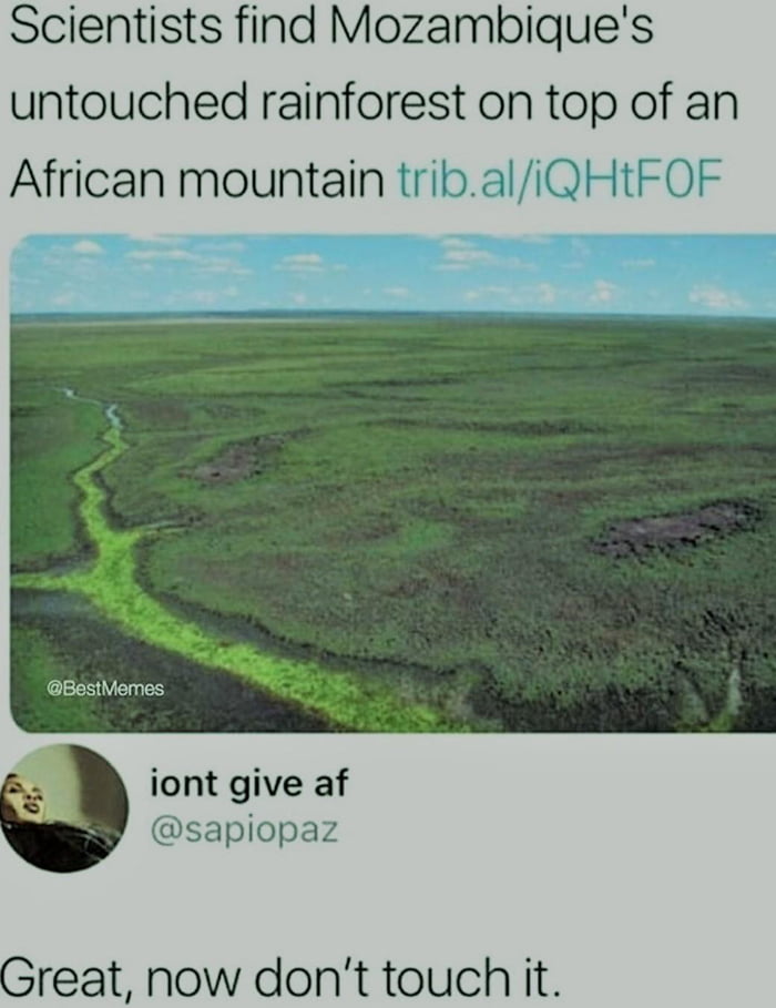 Find Mozambique's untouched rainforest on top of an African mountain - 9GAG