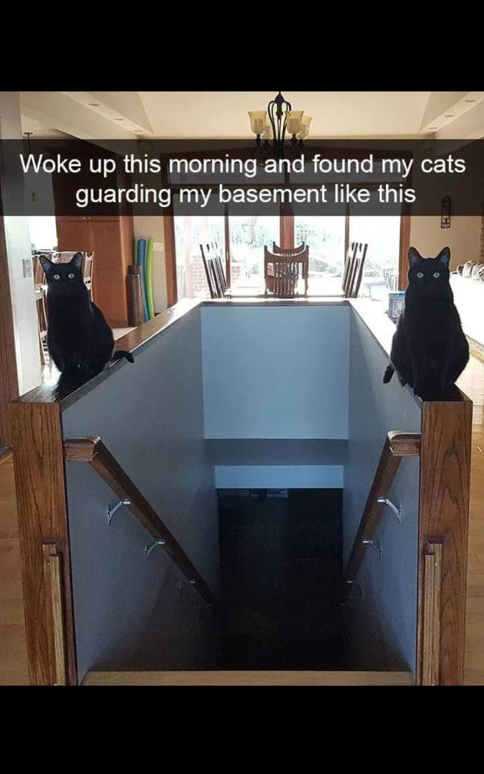Basement guards on duty - 9GAG