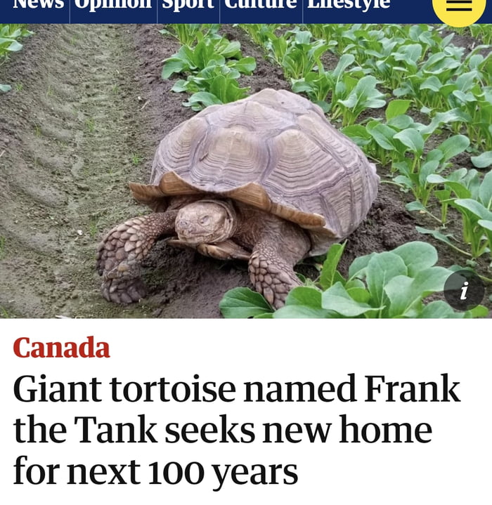 Giant tortoise named Frank the Tank seeks new home for next 100 years, Canada