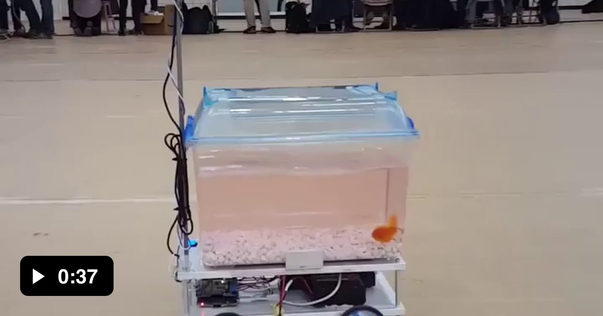 This device tracks the goldfish's movements and moves in the direction