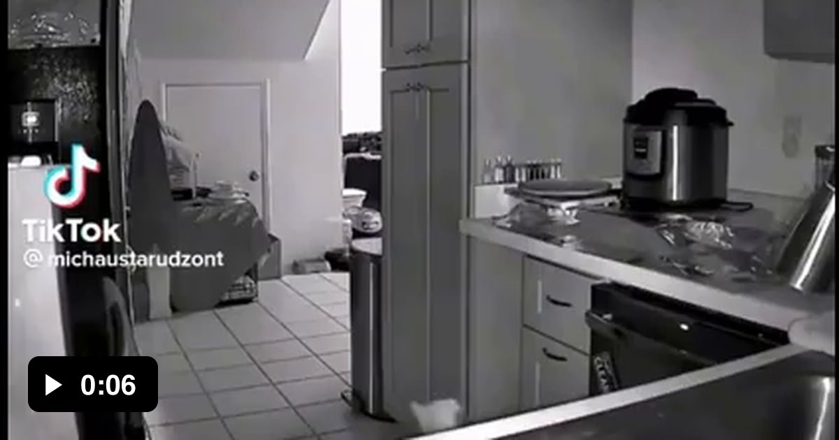 Cat vs aluminum foil 9GAG